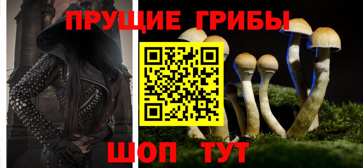 наркошоп  Вход с VPN  Псилоцибиновые грибы Cubensis  Лесной  Галлюциногенные грибы мицелий 